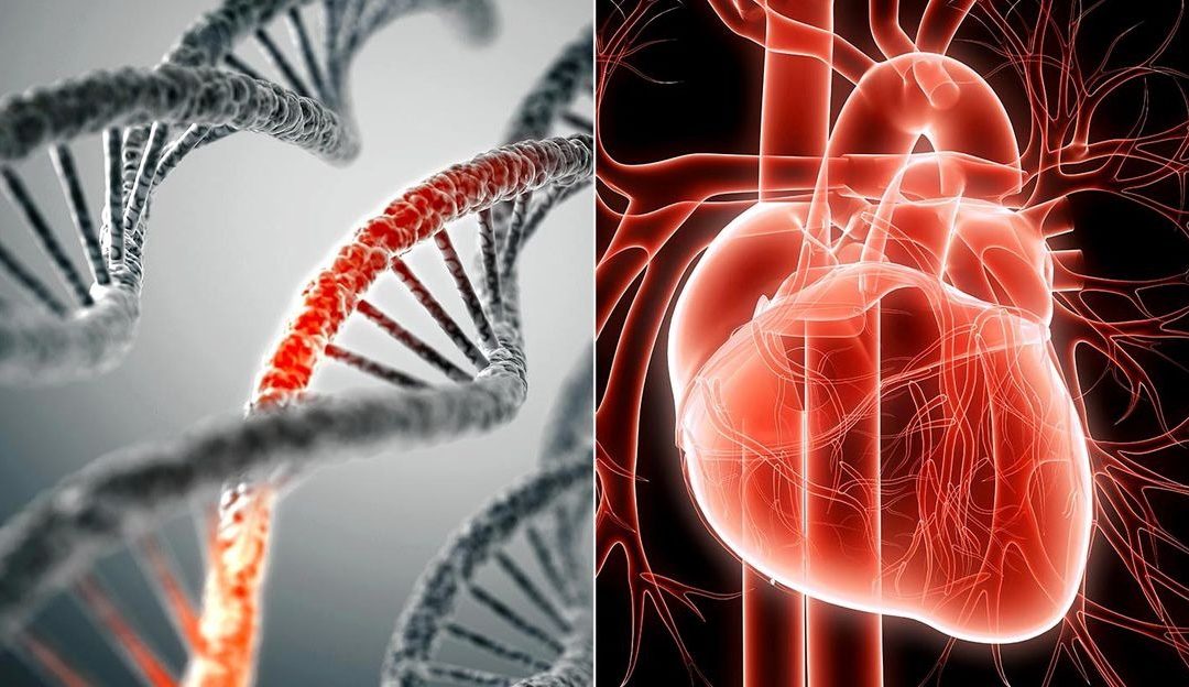 Test Genetico per le patologie cardiovascolari